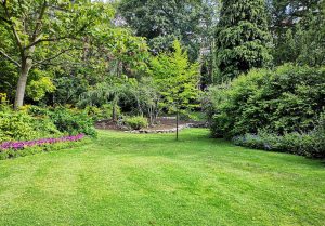 Optimiser l'expérience du jardin à Saint-Priest-en-Murat